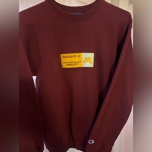 Champion Brown Crewneck Sweater Classic Design